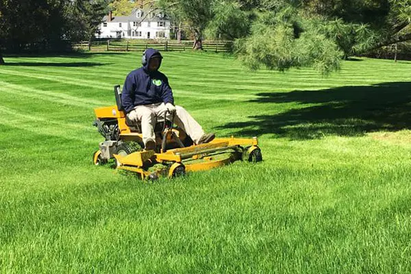 Landscape Maintenance 